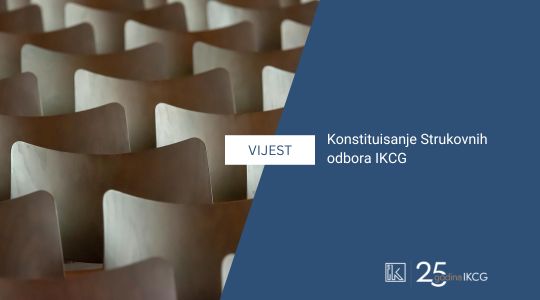 Konstituisanje Strukovnih odbora IKCG